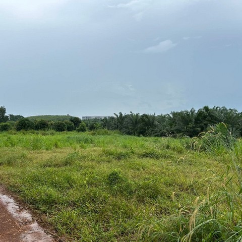 ประกาศฟรี! ซื้อ-ขาย-เช่า คอนโด บ้าน ทาวน์โฮม ที่ดิน และพื้นที่เชิงพาณิชย์ทั่วประเทศไทย ทุกทำเล ทุกงบประมาณ ไม่มีค่าใช้จ่าย ลงง่าย ขายไว เข้าถึงผู้ซื้อโดยตรง 5 313691pic4.jpg