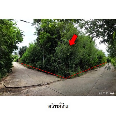 ประกาศฟรี! ซื้อ-ขาย-เช่า คอนโด บ้าน ทาวน์โฮม ที่ดิน และพื้นที่เชิงพาณิชย์ทั่วประเทศไทย ทุกทำเล ทุกงบประมาณ ไม่มีค่าใช้จ่าย ลงง่าย ขายไว เข้าถึงผู้ซื้อโดยตรง 3 236429pic2.jpg