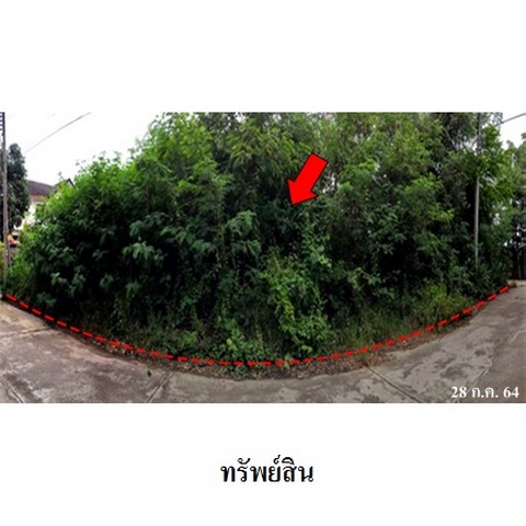 ประกาศฟรี! ซื้อ-ขาย-เช่า คอนโด บ้าน ทาวน์โฮม ที่ดิน และพื้นที่เชิงพาณิชย์ทั่วประเทศไทย ทุกทำเล ทุกงบประมาณ ไม่มีค่าใช้จ่าย ลงง่าย ขายไว เข้าถึงผู้ซื้อโดยตรง 4 236429pic3.jpg