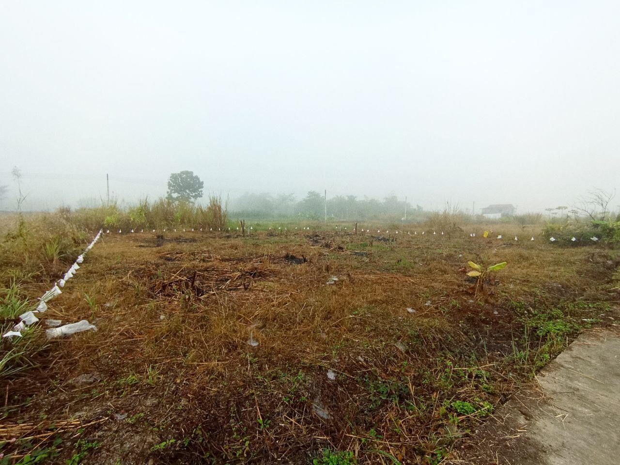 ประกาศฟรี! ซื้อ-ขาย-เช่า คอนโด บ้าน ทาวน์โฮม ที่ดิน และพื้นที่เชิงพาณิชย์ทั่วประเทศไทย ทุกทำเล ทุกงบประมาณ ไม่มีค่าใช้จ่าย ลงง่าย ขายไว เข้าถึงผู้ซื้อโดยตรง 4 313722pic3.jpg