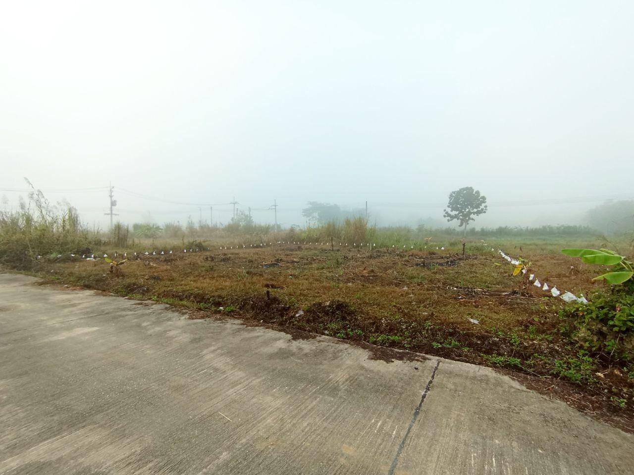 ประกาศฟรี! ซื้อ-ขาย-เช่า คอนโด บ้าน ทาวน์โฮม ที่ดิน และพื้นที่เชิงพาณิชย์ทั่วประเทศไทย ทุกทำเล ทุกงบประมาณ ไม่มีค่าใช้จ่าย ลงง่าย ขายไว เข้าถึงผู้ซื้อโดยตรง 5 313722pic4.jpg