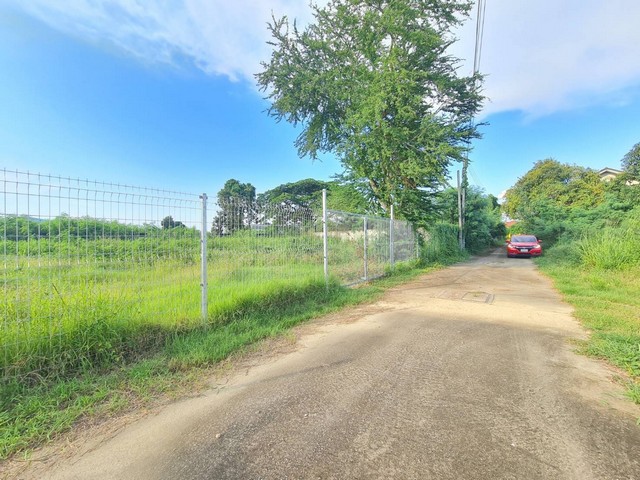 ประกาศฟรี! ซื้อ-ขาย-เช่า คอนโด บ้าน ทาวน์โฮม ที่ดิน และพื้นที่เชิงพาณิชย์ทั่วประเทศไทย ทุกทำเล ทุกงบประมาณ ไม่มีค่าใช้จ่าย ลงง่าย ขายไว เข้าถึงผู้ซื้อโดยตรง 5 248989pic4.jpg