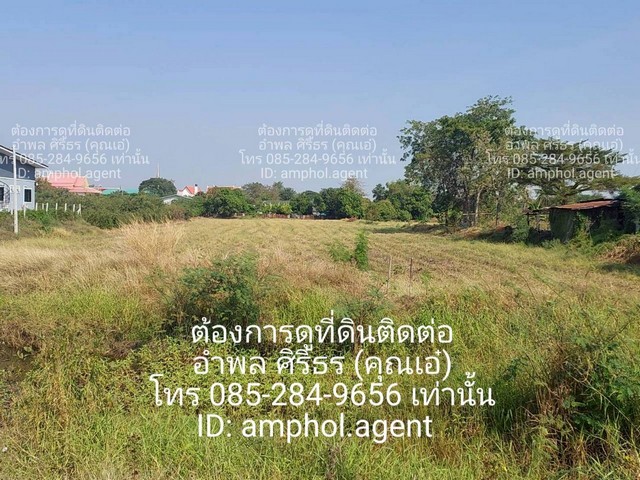 ประกาศฟรี! ซื้อ-ขาย-เช่า คอนโด บ้าน ทาวน์โฮม ที่ดิน และพื้นที่เชิงพาณิชย์ทั่วประเทศไทย ทุกทำเล ทุกงบประมาณ ไม่มีค่าใช้จ่าย ลงง่าย ขายไว เข้าถึงผู้ซื้อโดยตรง 3 249014pic2.jpg