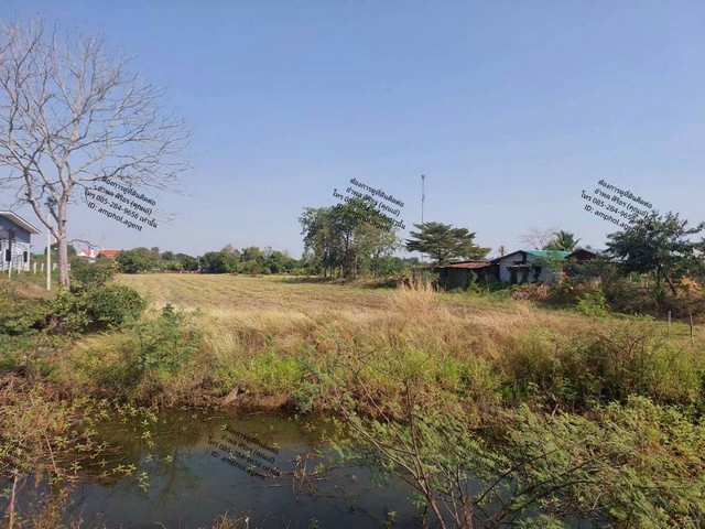 ประกาศฟรี! ซื้อ-ขาย-เช่า คอนโด บ้าน ทาวน์โฮม ที่ดิน และพื้นที่เชิงพาณิชย์ทั่วประเทศไทย ทุกทำเล ทุกงบประมาณ ไม่มีค่าใช้จ่าย ลงง่าย ขายไว เข้าถึงผู้ซื้อโดยตรง 4 249014pic3.jpg