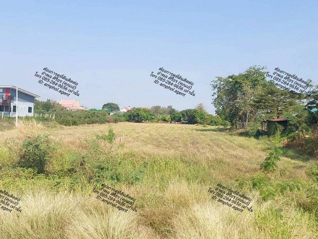 ประกาศฟรี! ซื้อ-ขาย-เช่า คอนโด บ้าน ทาวน์โฮม ที่ดิน และพื้นที่เชิงพาณิชย์ทั่วประเทศไทย ทุกทำเล ทุกงบประมาณ ไม่มีค่าใช้จ่าย ลงง่าย ขายไว เข้าถึงผู้ซื้อโดยตรง 5 249014pic4.jpg