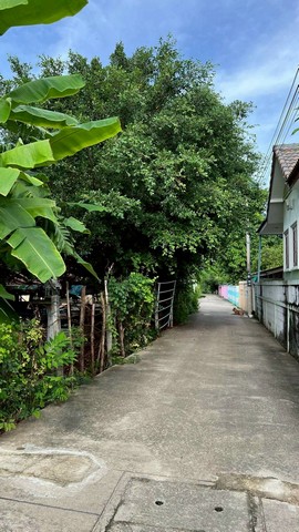 ประกาศฟรี! ซื้อ-ขาย-เช่า คอนโด บ้าน ทาวน์โฮม ที่ดิน และพื้นที่เชิงพาณิชย์ทั่วประเทศไทย ทุกทำเล ทุกงบประมาณ ไม่มีค่าใช้จ่าย ลงง่าย ขายไว เข้าถึงผู้ซื้อโดยตรง 5 313761pic4.jpg