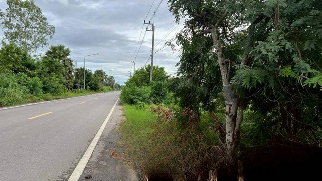 ประกาศฟรี! ซื้อ-ขาย-เช่า คอนโด บ้าน ทาวน์โฮม ที่ดิน และพื้นที่เชิงพาณิชย์ทั่วประเทศไทย ทุกทำเล ทุกงบประมาณ ไม่มีค่าใช้จ่าย ลงง่าย ขายไว เข้าถึงผู้ซื้อโดยตรง 3 313758pic2.jpg