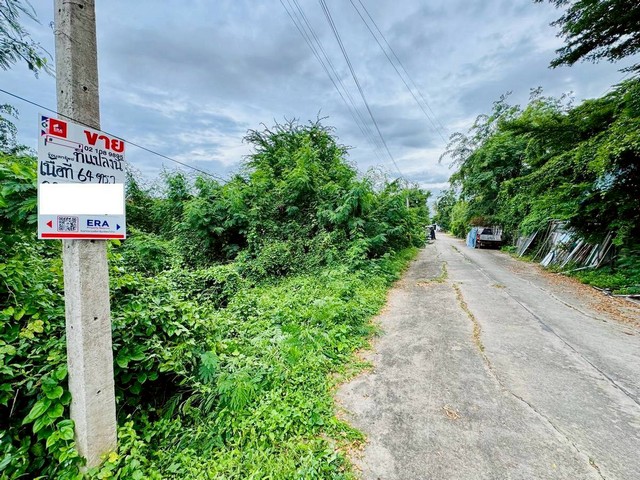 ประกาศฟรี! ซื้อ-ขาย-เช่า คอนโด บ้าน ทาวน์โฮม ที่ดิน และพื้นที่เชิงพาณิชย์ทั่วประเทศไทย ทุกทำเล ทุกงบประมาณ ไม่มีค่าใช้จ่าย ลงง่าย ขายไว เข้าถึงผู้ซื้อโดยตรง 2 313756pic1.jpg