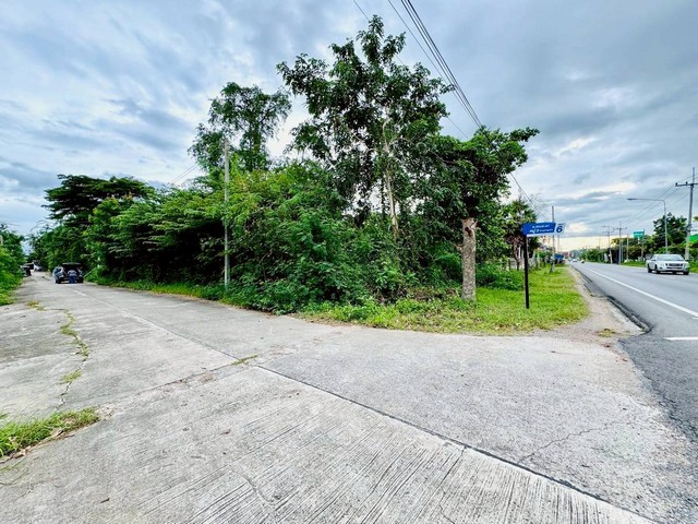 ประกาศฟรี! ซื้อ-ขาย-เช่า คอนโด บ้าน ทาวน์โฮม ที่ดิน และพื้นที่เชิงพาณิชย์ทั่วประเทศไทย ทุกทำเล ทุกงบประมาณ ไม่มีค่าใช้จ่าย ลงง่าย ขายไว เข้าถึงผู้ซื้อโดยตรง 4 313756pic3.jpg