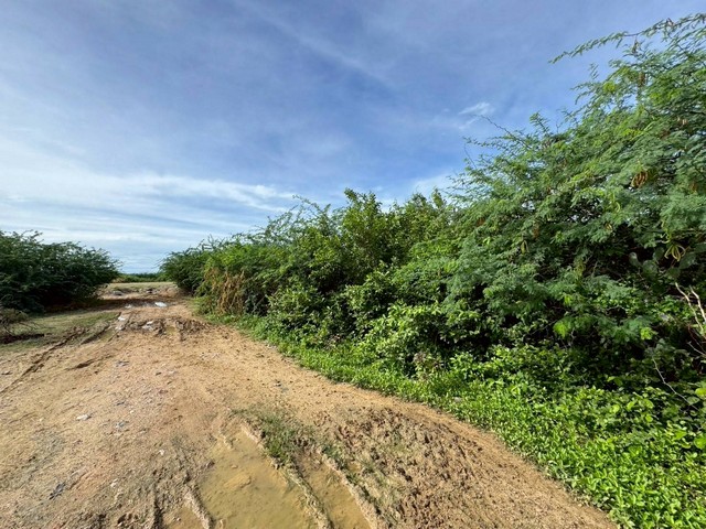 ประกาศฟรี! ซื้อ-ขาย-เช่า คอนโด บ้าน ทาวน์โฮม ที่ดิน และพื้นที่เชิงพาณิชย์ทั่วประเทศไทย ทุกทำเล ทุกงบประมาณ ไม่มีค่าใช้จ่าย ลงง่าย ขายไว เข้าถึงผู้ซื้อโดยตรง 3 313754pic2.jpg