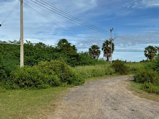 ประกาศฟรี! ซื้อ-ขาย-เช่า คอนโด บ้าน ทาวน์โฮม ที่ดิน และพื้นที่เชิงพาณิชย์ทั่วประเทศไทย ทุกทำเล ทุกงบประมาณ ไม่มีค่าใช้จ่าย ลงง่าย ขายไว เข้าถึงผู้ซื้อโดยตรง 4 313754pic3.jpg