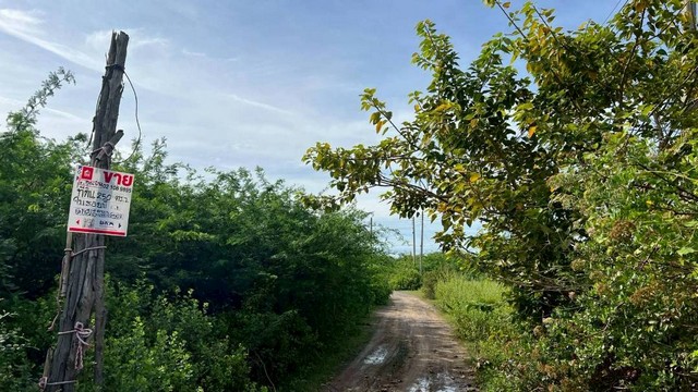 ประกาศฟรี! ซื้อ-ขาย-เช่า คอนโด บ้าน ทาวน์โฮม ที่ดิน และพื้นที่เชิงพาณิชย์ทั่วประเทศไทย ทุกทำเล ทุกงบประมาณ ไม่มีค่าใช้จ่าย ลงง่าย ขายไว เข้าถึงผู้ซื้อโดยตรง 5 313754pic4.jpg