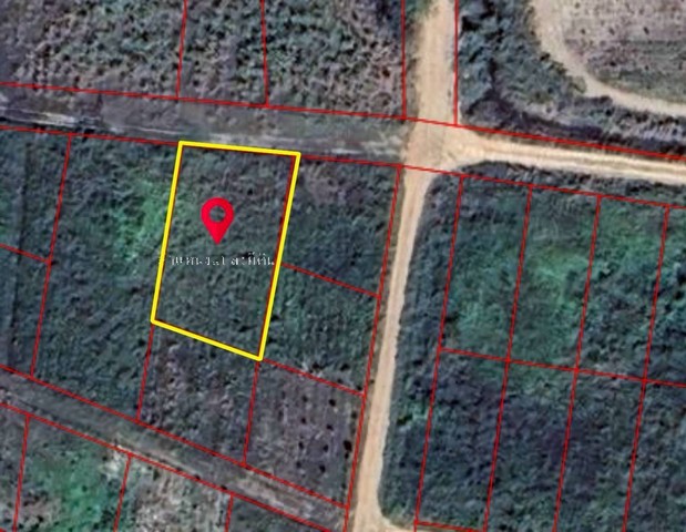 ประกาศฟรี! ซื้อ-ขาย-เช่า คอนโด บ้าน ทาวน์โฮม ที่ดิน และพื้นที่เชิงพาณิชย์ทั่วประเทศไทย ทุกทำเล ทุกงบประมาณ ไม่มีค่าใช้จ่าย ลงง่าย ขายไว เข้าถึงผู้ซื้อโดยตรง 3 313712pic2.jpg