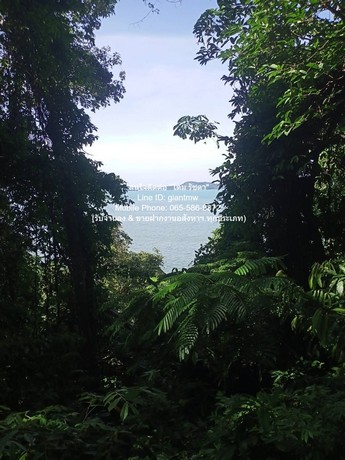 ประกาศฟรี! ซื้อ-ขาย-เช่า คอนโด บ้าน ทาวน์โฮม ที่ดิน และพื้นที่เชิงพาณิชย์ทั่วประเทศไทย ทุกทำเล ทุกงบประมาณ ไม่มีค่าใช้จ่าย ลงง่าย ขายไว เข้าถึงผู้ซื้อโดยตรง 5 280656pic4.jpg