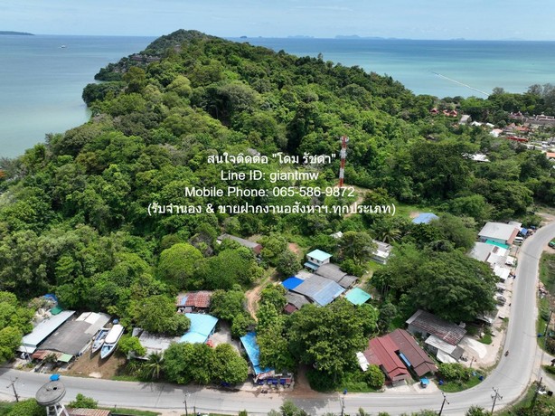 ประกาศฟรี! ซื้อ-ขาย-เช่า คอนโด บ้าน ทาวน์โฮม ที่ดิน และพื้นที่เชิงพาณิชย์ทั่วประเทศไทย ทุกทำเล ทุกงบประมาณ ไม่มีค่าใช้จ่าย ลงง่าย ขายไว เข้าถึงผู้ซื้อโดยตรง 2 280655pic1.jpg