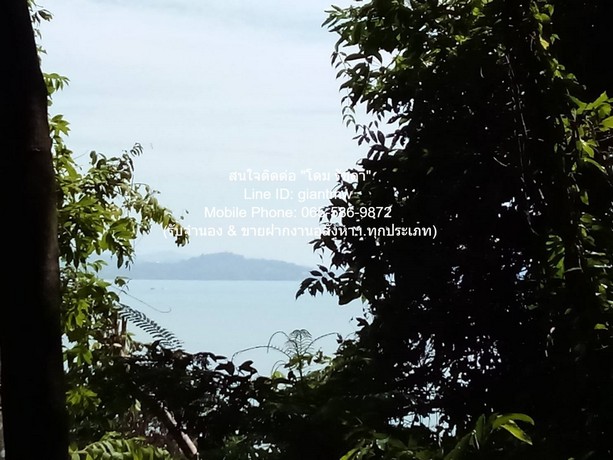 ประกาศฟรี! ซื้อ-ขาย-เช่า คอนโด บ้าน ทาวน์โฮม ที่ดิน และพื้นที่เชิงพาณิชย์ทั่วประเทศไทย ทุกทำเล ทุกงบประมาณ ไม่มีค่าใช้จ่าย ลงง่าย ขายไว เข้าถึงผู้ซื้อโดยตรง 4 280655pic3.jpg