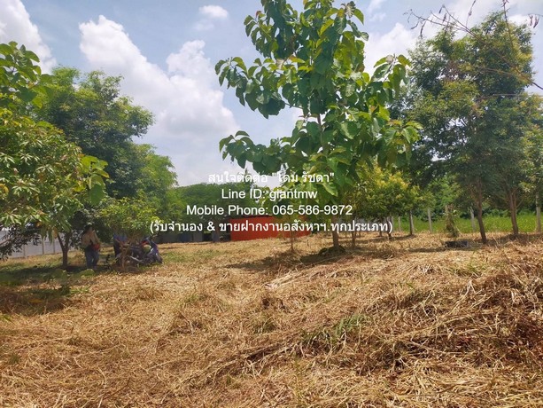 ประกาศฟรี! ซื้อ-ขาย-เช่า คอนโด บ้าน ทาวน์โฮม ที่ดิน และพื้นที่เชิงพาณิชย์ทั่วประเทศไทย ทุกทำเล ทุกงบประมาณ ไม่มีค่าใช้จ่าย ลงง่าย ขายไว เข้าถึงผู้ซื้อโดยตรง 2 280150pic1.jpg