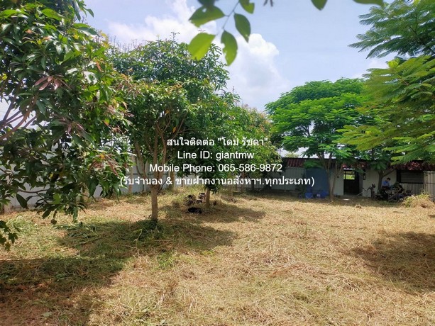 ประกาศฟรี! ซื้อ-ขาย-เช่า คอนโด บ้าน ทาวน์โฮม ที่ดิน และพื้นที่เชิงพาณิชย์ทั่วประเทศไทย ทุกทำเล ทุกงบประมาณ ไม่มีค่าใช้จ่าย ลงง่าย ขายไว เข้าถึงผู้ซื้อโดยตรง 5 280150pic4.jpg