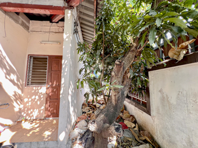 ประกาศฟรี! ซื้อ-ขาย-เช่า คอนโด บ้าน ทาวน์โฮม ที่ดิน และพื้นที่เชิงพาณิชย์ทั่วประเทศไทย ทุกทำเล ทุกงบประมาณ ไม่มีค่าใช้จ่าย ลงง่าย ขายไว เข้าถึงผู้ซื้อโดยตรง 5 249096pic4.jpg