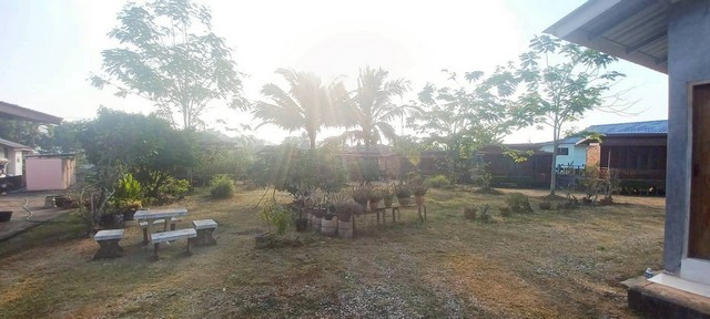 ประกาศฟรี! ซื้อ-ขาย-เช่า คอนโด บ้าน ทาวน์โฮม ที่ดิน และพื้นที่เชิงพาณิชย์ทั่วประเทศไทย ทุกทำเล ทุกงบประมาณ ไม่มีค่าใช้จ่าย ลงง่าย ขายไว เข้าถึงผู้ซื้อโดยตรง 4 247868pic3.jpg