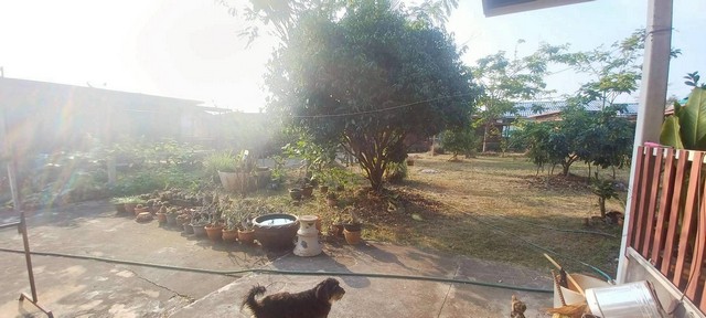 ประกาศฟรี! ซื้อ-ขาย-เช่า คอนโด บ้าน ทาวน์โฮม ที่ดิน และพื้นที่เชิงพาณิชย์ทั่วประเทศไทย ทุกทำเล ทุกงบประมาณ ไม่มีค่าใช้จ่าย ลงง่าย ขายไว เข้าถึงผู้ซื้อโดยตรง 5 247868pic4.jpg