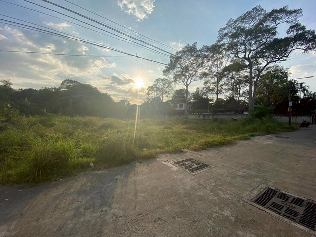 ประกาศฟรี! ซื้อ-ขาย-เช่า คอนโด บ้าน ทาวน์โฮม ที่ดิน และพื้นที่เชิงพาณิชย์ทั่วประเทศไทย ทุกทำเล ทุกงบประมาณ ไม่มีค่าใช้จ่าย ลงง่าย ขายไว เข้าถึงผู้ซื้อโดยตรง 5 247866pic4.jpg