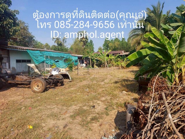 ประกาศฟรี! ซื้อ-ขาย-เช่า คอนโด บ้าน ทาวน์โฮม ที่ดิน และพื้นที่เชิงพาณิชย์ทั่วประเทศไทย ทุกทำเล ทุกงบประมาณ ไม่มีค่าใช้จ่าย ลงง่าย ขายไว เข้าถึงผู้ซื้อโดยตรง 4 249129pic3.jpg