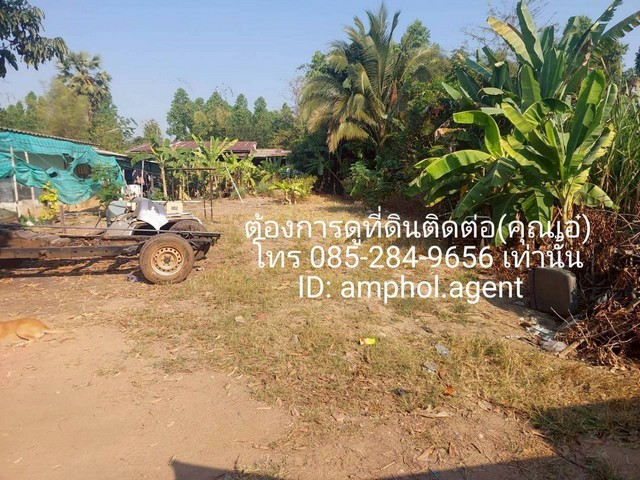 ประกาศฟรี! ซื้อ-ขาย-เช่า คอนโด บ้าน ทาวน์โฮม ที่ดิน และพื้นที่เชิงพาณิชย์ทั่วประเทศไทย ทุกทำเล ทุกงบประมาณ ไม่มีค่าใช้จ่าย ลงง่าย ขายไว เข้าถึงผู้ซื้อโดยตรง 5 249129pic4.jpg