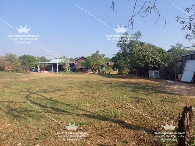 ประกาศฟรี! ซื้อ-ขาย-เช่า คอนโด บ้าน ทาวน์โฮม ที่ดิน และพื้นที่เชิงพาณิชย์ทั่วประเทศไทย ทุกทำเล ทุกงบประมาณ ไม่มีค่าใช้จ่าย ลงง่าย ขายไว เข้าถึงผู้ซื้อโดยตรง 4 249128pic3.jpg