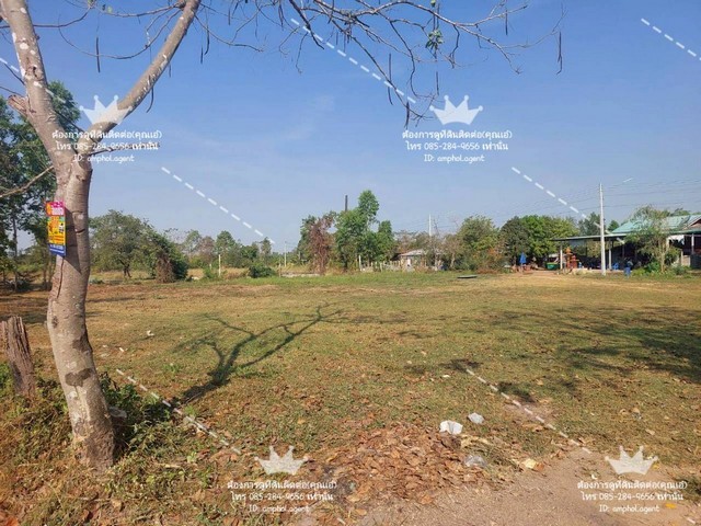 ประกาศฟรี! ซื้อ-ขาย-เช่า คอนโด บ้าน ทาวน์โฮม ที่ดิน และพื้นที่เชิงพาณิชย์ทั่วประเทศไทย ทุกทำเล ทุกงบประมาณ ไม่มีค่าใช้จ่าย ลงง่าย ขายไว เข้าถึงผู้ซื้อโดยตรง 5 249128pic4.jpg