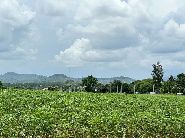 ประกาศฟรี! ซื้อ-ขาย-เช่า คอนโด บ้าน ทาวน์โฮม ที่ดิน และพื้นที่เชิงพาณิชย์ทั่วประเทศไทย ทุกทำเล ทุกงบประมาณ ไม่มีค่าใช้จ่าย ลงง่าย ขายไว เข้าถึงผู้ซื้อโดยตรง 2 295247pic1.jpg