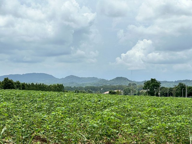 ประกาศฟรี! ซื้อ-ขาย-เช่า คอนโด บ้าน ทาวน์โฮม ที่ดิน และพื้นที่เชิงพาณิชย์ทั่วประเทศไทย ทุกทำเล ทุกงบประมาณ ไม่มีค่าใช้จ่าย ลงง่าย ขายไว เข้าถึงผู้ซื้อโดยตรง 3 295247pic2.jpg