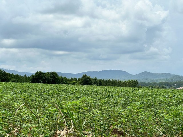 ประกาศฟรี! ซื้อ-ขาย-เช่า คอนโด บ้าน ทาวน์โฮม ที่ดิน และพื้นที่เชิงพาณิชย์ทั่วประเทศไทย ทุกทำเล ทุกงบประมาณ ไม่มีค่าใช้จ่าย ลงง่าย ขายไว เข้าถึงผู้ซื้อโดยตรง 4 295247pic3.jpg