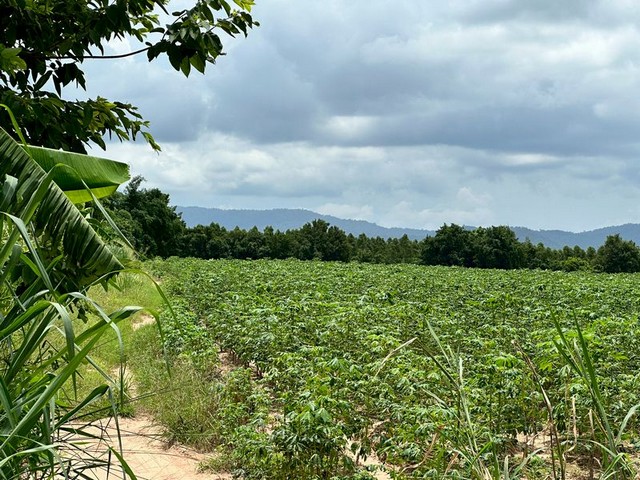 ประกาศฟรี! ซื้อ-ขาย-เช่า คอนโด บ้าน ทาวน์โฮม ที่ดิน และพื้นที่เชิงพาณิชย์ทั่วประเทศไทย ทุกทำเล ทุกงบประมาณ ไม่มีค่าใช้จ่าย ลงง่าย ขายไว เข้าถึงผู้ซื้อโดยตรง 5 295247pic4.jpg