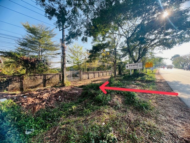 ประกาศฟรี! ซื้อ-ขาย-เช่า คอนโด บ้าน ทาวน์โฮม ที่ดิน และพื้นที่เชิงพาณิชย์ทั่วประเทศไทย ทุกทำเล ทุกงบประมาณ ไม่มีค่าใช้จ่าย ลงง่าย ขายไว เข้าถึงผู้ซื้อโดยตรง 4 511566pic3.jpg