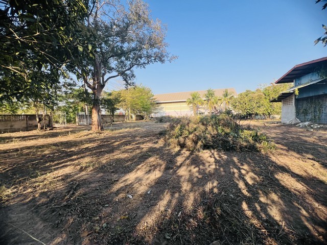 ประกาศฟรี! ซื้อ-ขาย-เช่า คอนโด บ้าน ทาวน์โฮม ที่ดิน และพื้นที่เชิงพาณิชย์ทั่วประเทศไทย ทุกทำเล ทุกงบประมาณ ไม่มีค่าใช้จ่าย ลงง่าย ขายไว เข้าถึงผู้ซื้อโดยตรง 5 511566pic4.jpg