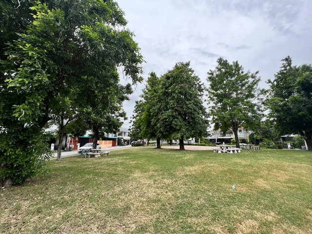 ประกาศฟรี! ซื้อ-ขาย-เช่า คอนโด บ้าน ทาวน์โฮม ที่ดิน และพื้นที่เชิงพาณิชย์ทั่วประเทศไทย ทุกทำเล ทุกงบประมาณ ไม่มีค่าใช้จ่าย ลงง่าย ขายไว เข้าถึงผู้ซื้อโดยตรง 3 249002pic2.jpg