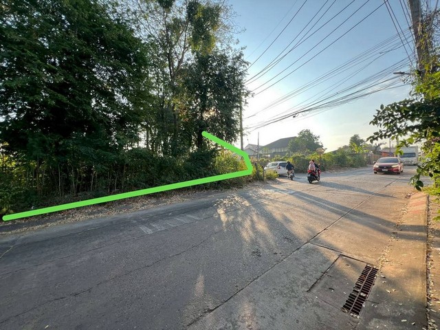 ประกาศฟรี! ซื้อ-ขาย-เช่า คอนโด บ้าน ทาวน์โฮม ที่ดิน และพื้นที่เชิงพาณิชย์ทั่วประเทศไทย ทุกทำเล ทุกงบประมาณ ไม่มีค่าใช้จ่าย ลงง่าย ขายไว เข้าถึงผู้ซื้อโดยตรง 2 511569pic1.jpg