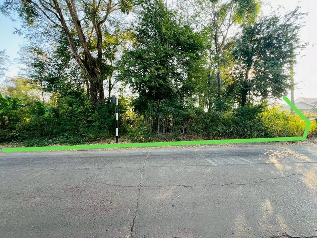 ประกาศฟรี! ซื้อ-ขาย-เช่า คอนโด บ้าน ทาวน์โฮม ที่ดิน และพื้นที่เชิงพาณิชย์ทั่วประเทศไทย ทุกทำเล ทุกงบประมาณ ไม่มีค่าใช้จ่าย ลงง่าย ขายไว เข้าถึงผู้ซื้อโดยตรง 3 511569pic2.jpg