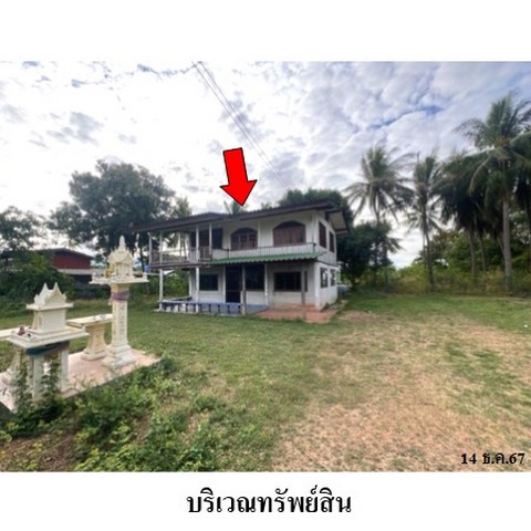 ประกาศฟรี! ซื้อ-ขาย-เช่า คอนโด บ้าน ทาวน์โฮม ที่ดิน และพื้นที่เชิงพาณิชย์ทั่วประเทศไทย ทุกทำเล ทุกงบประมาณ ไม่มีค่าใช้จ่าย ลงง่าย ขายไว เข้าถึงผู้ซื้อโดยตรง 3 236437pic2.jpg