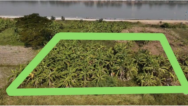 ประกาศฟรี! ซื้อ-ขาย-เช่า คอนโด บ้าน ทาวน์โฮม ที่ดิน และพื้นที่เชิงพาณิชย์ทั่วประเทศไทย ทุกทำเล ทุกงบประมาณ ไม่มีค่าใช้จ่าย ลงง่าย ขายไว เข้าถึงผู้ซื้อโดยตรง 2 511585pic1.jpg