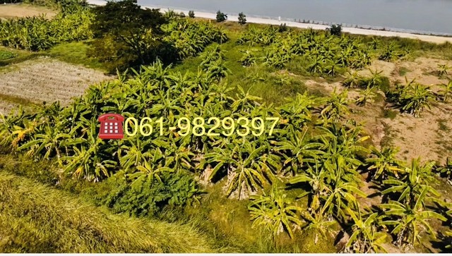 ประกาศฟรี! ซื้อ-ขาย-เช่า คอนโด บ้าน ทาวน์โฮม ที่ดิน และพื้นที่เชิงพาณิชย์ทั่วประเทศไทย ทุกทำเล ทุกงบประมาณ ไม่มีค่าใช้จ่าย ลงง่าย ขายไว เข้าถึงผู้ซื้อโดยตรง 5 511585pic4.jpg