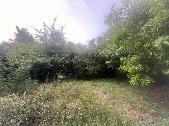 ประกาศฟรี! ซื้อ-ขาย-เช่า คอนโด บ้าน ทาวน์โฮม ที่ดิน และพื้นที่เชิงพาณิชย์ทั่วประเทศไทย ทุกทำเล ทุกงบประมาณ ไม่มีค่าใช้จ่าย ลงง่าย ขายไว เข้าถึงผู้ซื้อโดยตรง 3 249143pic2.jpg