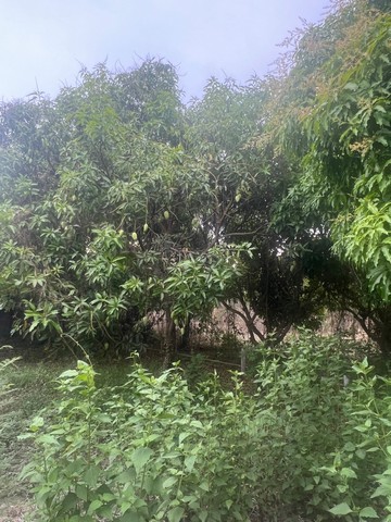 ประกาศฟรี! ซื้อ-ขาย-เช่า คอนโด บ้าน ทาวน์โฮม ที่ดิน และพื้นที่เชิงพาณิชย์ทั่วประเทศไทย ทุกทำเล ทุกงบประมาณ ไม่มีค่าใช้จ่าย ลงง่าย ขายไว เข้าถึงผู้ซื้อโดยตรง 4 249143pic3.jpg