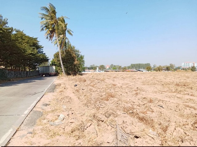 ประกาศฟรี! ซื้อ-ขาย-เช่า คอนโด บ้าน ทาวน์โฮม ที่ดิน และพื้นที่เชิงพาณิชย์ทั่วประเทศไทย ทุกทำเล ทุกงบประมาณ ไม่มีค่าใช้จ่าย ลงง่าย ขายไว เข้าถึงผู้ซื้อโดยตรง 2 313848pic1.jpg