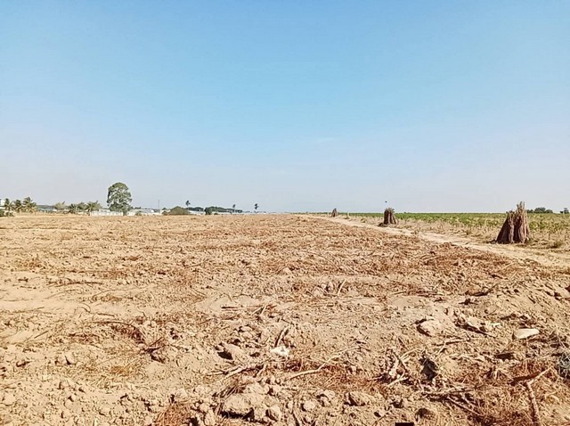 ประกาศฟรี! ซื้อ-ขาย-เช่า คอนโด บ้าน ทาวน์โฮม ที่ดิน และพื้นที่เชิงพาณิชย์ทั่วประเทศไทย ทุกทำเล ทุกงบประมาณ ไม่มีค่าใช้จ่าย ลงง่าย ขายไว เข้าถึงผู้ซื้อโดยตรง 3 313848pic2.jpg