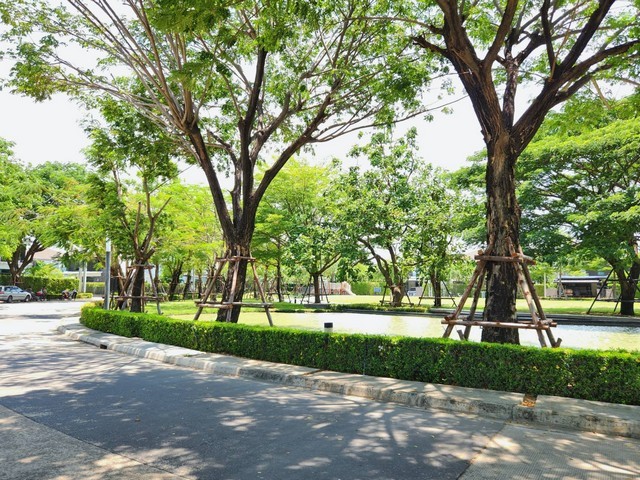 ประกาศฟรี! ซื้อ-ขาย-เช่า คอนโด บ้าน ทาวน์โฮม ที่ดิน และพื้นที่เชิงพาณิชย์ทั่วประเทศไทย ทุกทำเล ทุกงบประมาณ ไม่มีค่าใช้จ่าย ลงง่าย ขายไว เข้าถึงผู้ซื้อโดยตรง 3 273472pic2.jpg