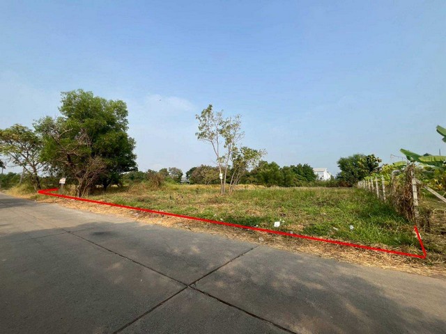 ประกาศฟรี! ซื้อ-ขาย-เช่า คอนโด บ้าน ทาวน์โฮม ที่ดิน และพื้นที่เชิงพาณิชย์ทั่วประเทศไทย ทุกทำเล ทุกงบประมาณ ไม่มีค่าใช้จ่าย ลงง่าย ขายไว เข้าถึงผู้ซื้อโดยตรง 2 313837pic1.jpg