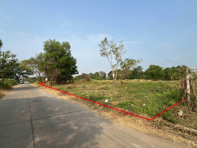 ประกาศฟรี! ซื้อ-ขาย-เช่า คอนโด บ้าน ทาวน์โฮม ที่ดิน และพื้นที่เชิงพาณิชย์ทั่วประเทศไทย ทุกทำเล ทุกงบประมาณ ไม่มีค่าใช้จ่าย ลงง่าย ขายไว เข้าถึงผู้ซื้อโดยตรง 3 313837pic2.jpg