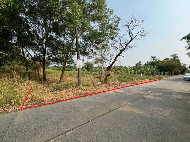 ประกาศฟรี! ซื้อ-ขาย-เช่า คอนโด บ้าน ทาวน์โฮม ที่ดิน และพื้นที่เชิงพาณิชย์ทั่วประเทศไทย ทุกทำเล ทุกงบประมาณ ไม่มีค่าใช้จ่าย ลงง่าย ขายไว เข้าถึงผู้ซื้อโดยตรง 4 313837pic3.jpg